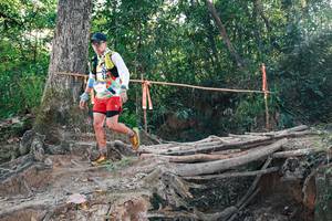 BIB: 
                            <button type="button" onclick="openModal(27305234)" class="btn btn-primary btn-sm float-right btn-popup" data-toggle="modal" data-target=".modal-high-quality">
                        <i class="fas fa-shopping-cart"></i> Add to Cart
                    </button>
                                            <button type="button" onclick="isThisMe(27305234, true)" class="btn btn-success btn-sm float-right btn-popup btn-isme hidden" data-toggle="tooltip" data-placement="bottom" title="นี่คือรูปของคุณใช่ไหม คลิกที่นี่เพื่อเอาเข้าอัลบั้ม">
                        <i class="fas fa-plus"></i> Add to album
                    </button>
                    <button type="button" onclick="isThisMe(27305234, false)" class="btn btn-warning btn-sm float-right btn-popup btn-isnotme hidden">
                        <i class="fas fa-ban"></i> Remove from album
                    </button>